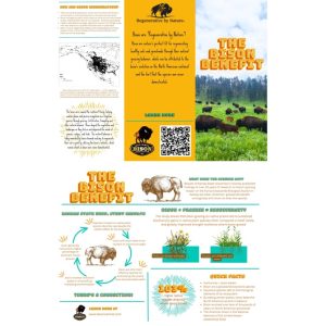 The Bison Benefit