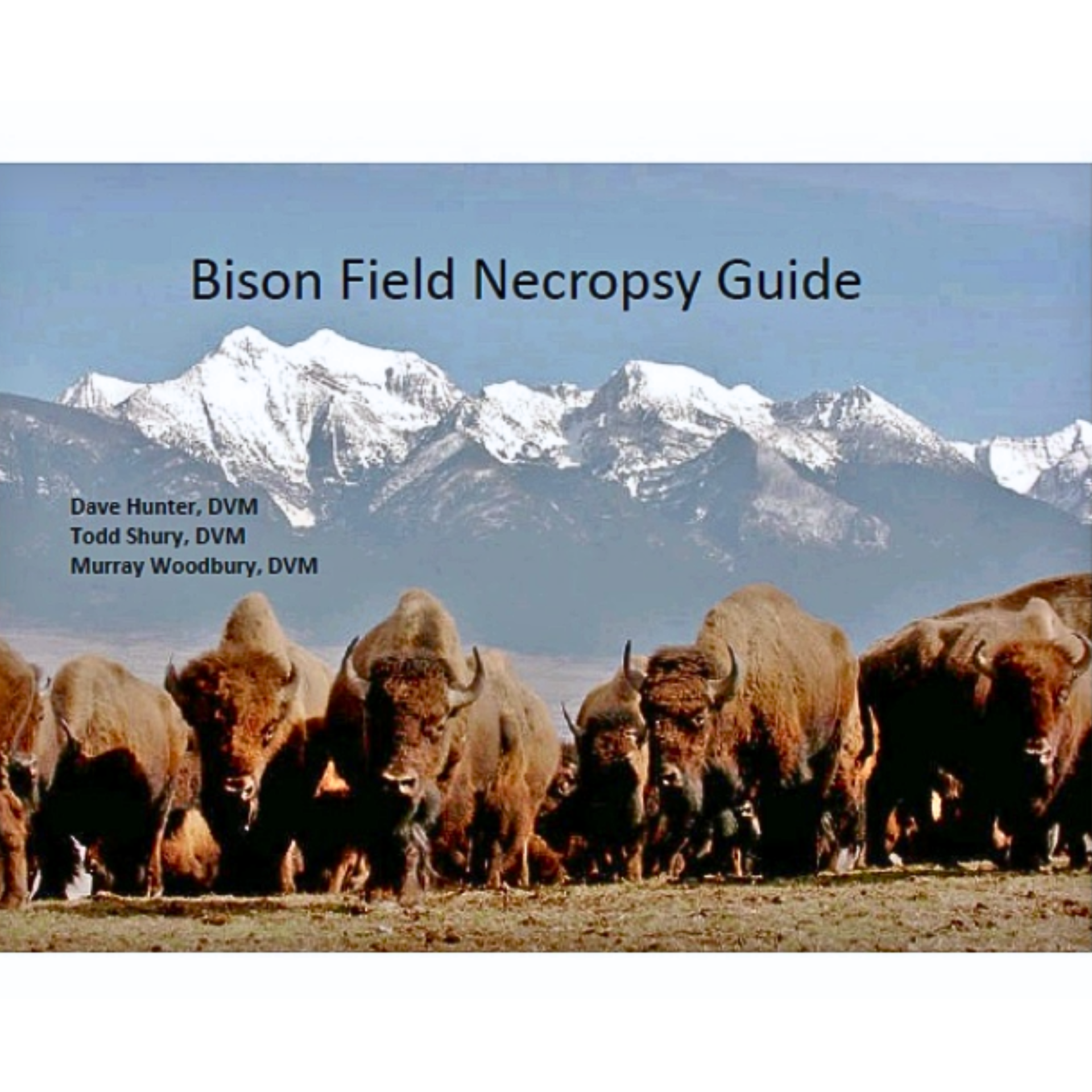 The Bison Field Necropsy Guide