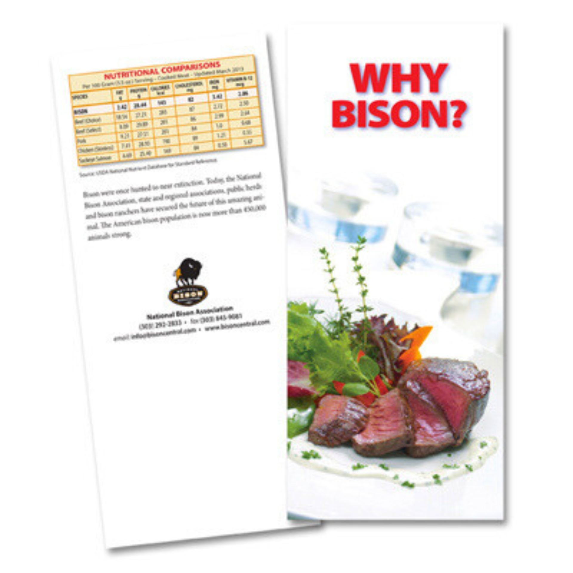Why Bison? Brochure (50 ct.)